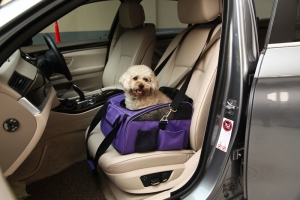 Pet Car Booster or Carrier (Purple)